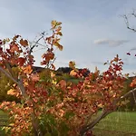 Blumenhof