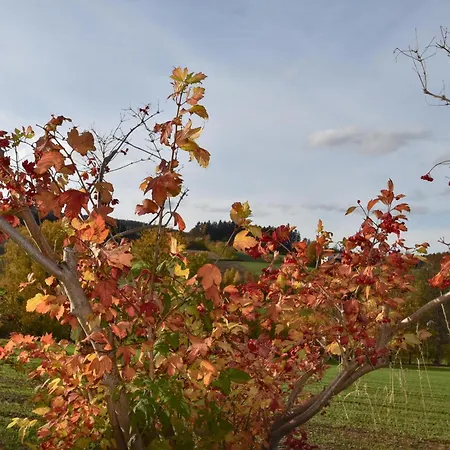 Blumenhof