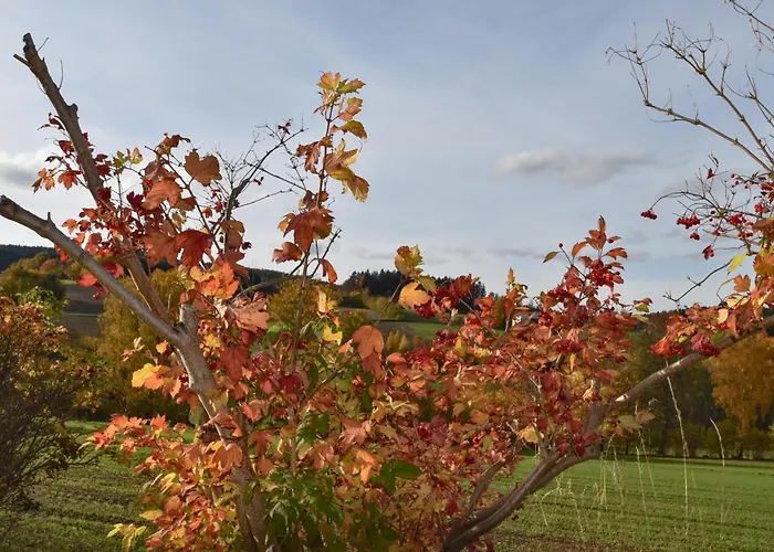 Blumenhof